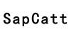 SAPCATT网站服务