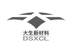 大生新材料  DSXCL