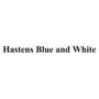 HASTENS BLUE AND WHITE手工器械