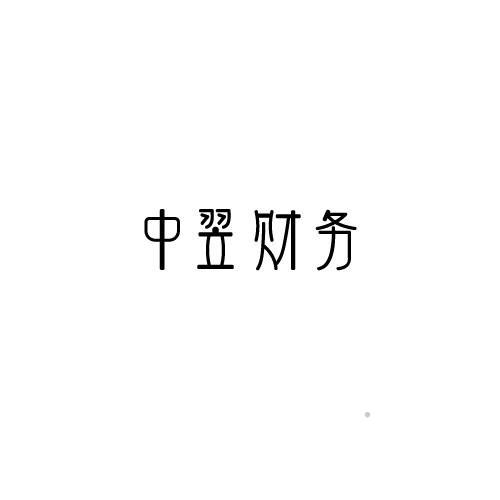 中翌财务logo