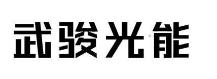 武骏光能logo
