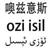 噢兹意斯 OZI ISIL日化用品