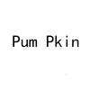 PUM PKIN广告销售
