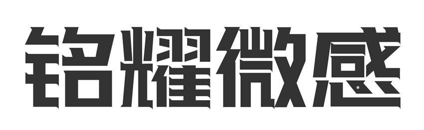 铭耀微感logo