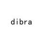 DIBRA科学仪器