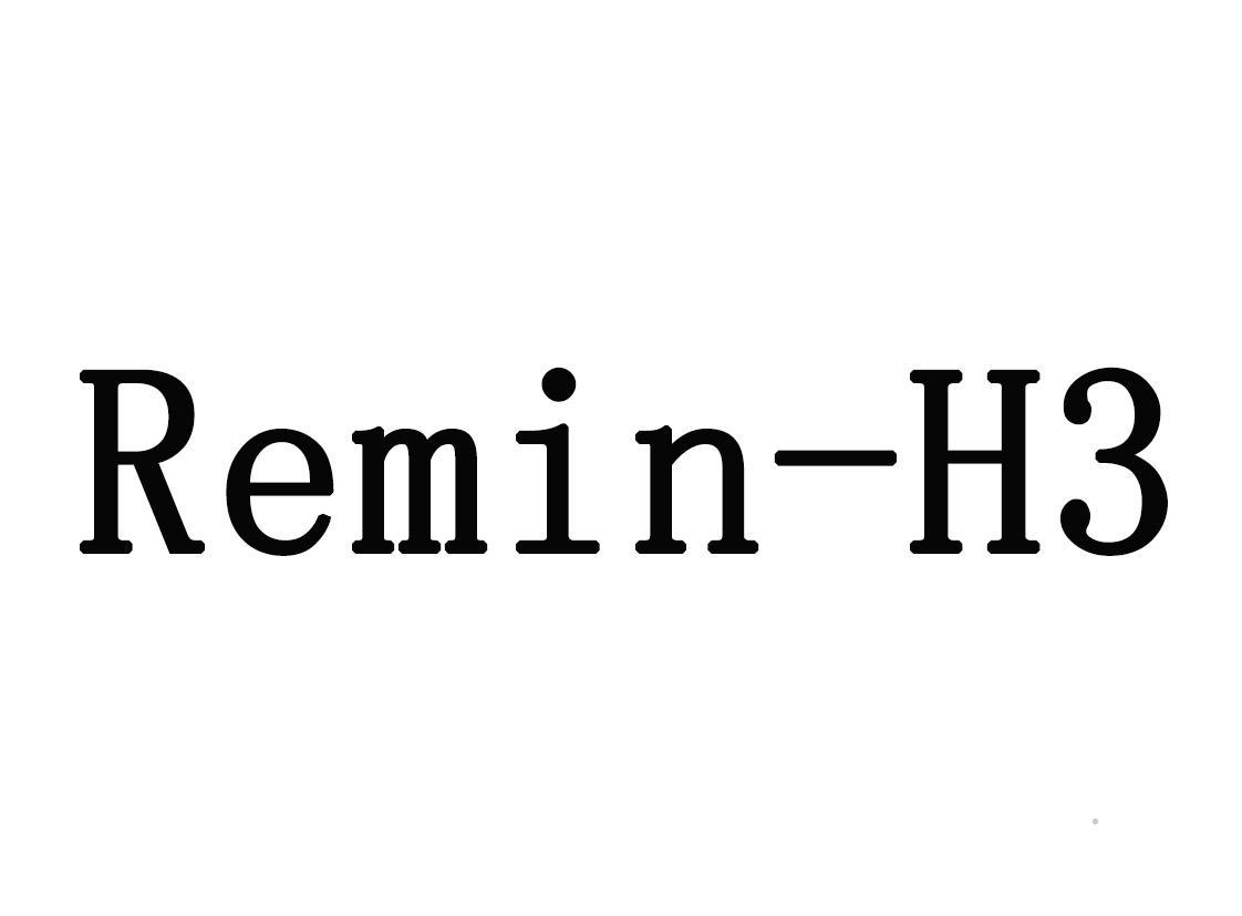 REMIN-H3logo