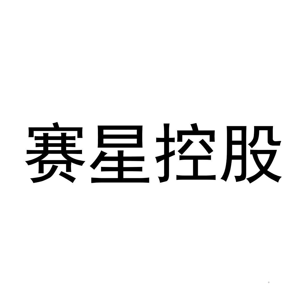 赛星控股logo