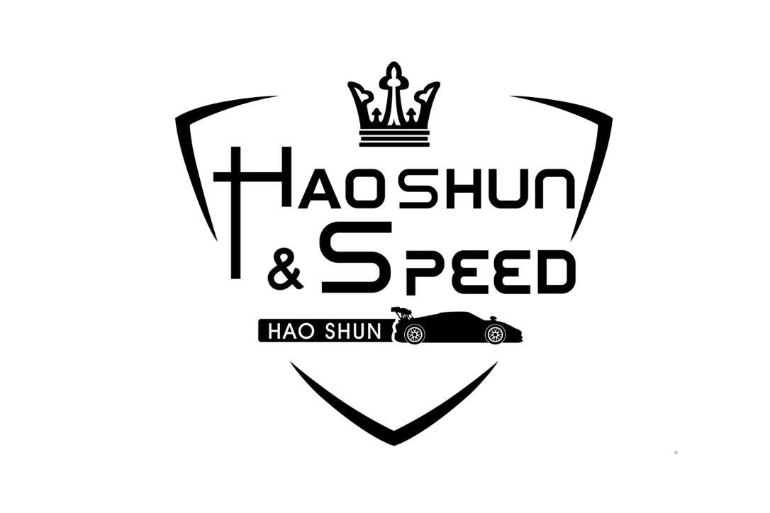 HAOSHUN & SPEED HAO SHUNlogo