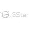G GSTAR网站服务