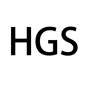 HGS广告销售