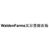 WALDENFARMS瓦尔登湖农场方便食品