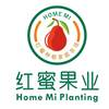 HOME MI 红蜜种植家庭农场 红蜜果业 HOME MI PLANTING