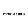 PANTHERA PARDUS布料床单
