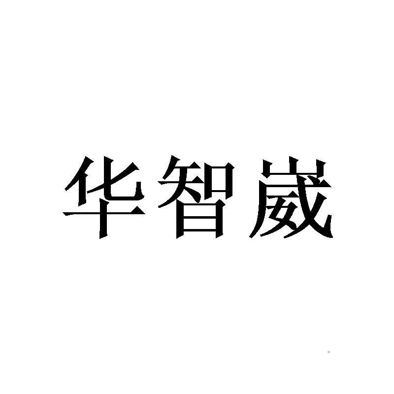 华智崴logo