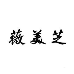 薇美芝logo