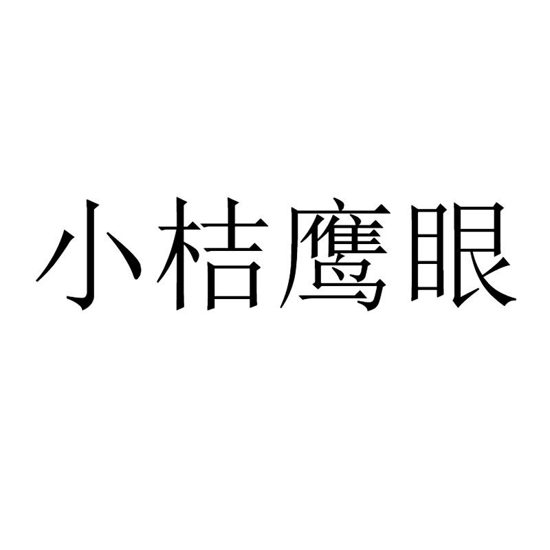 小桔鹰眼logo