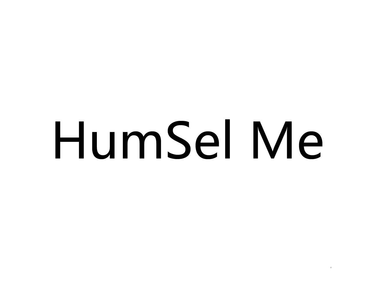 HUMSEL MElogo