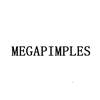 MEGAPIMPLES健身器材