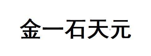 金一石天元logo