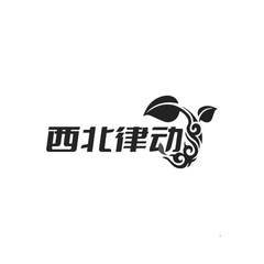 西北律动logo