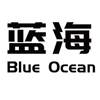 蓝海 BLUE OCEAN网站服务