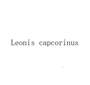 LEONIS CAPCORINUS