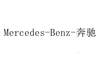 MERCEDES-BENZ-奔驰金属材料