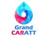 GRAND CARATT燃料油脂