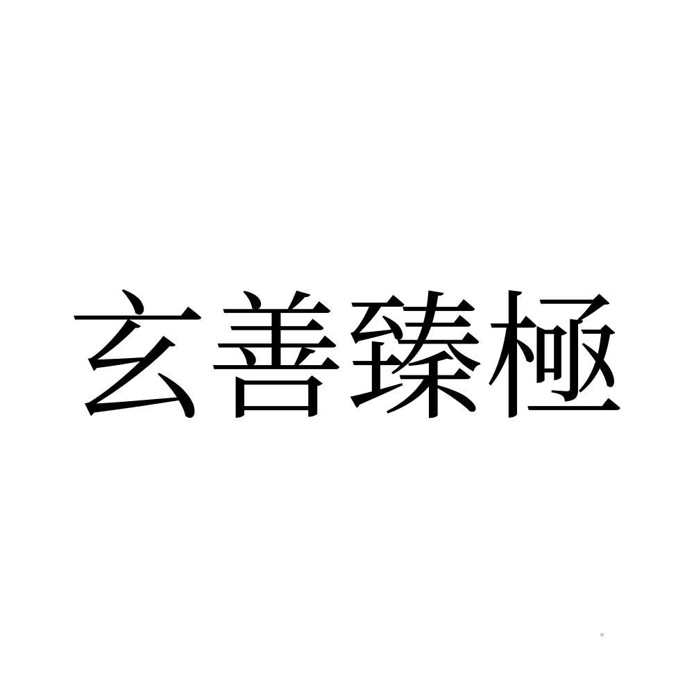 玄善臻极logo