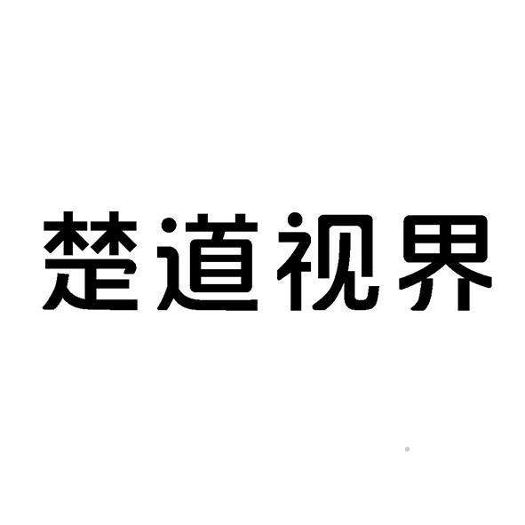 楚道视界logo