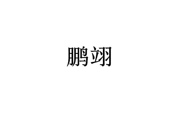 鹏翊logo