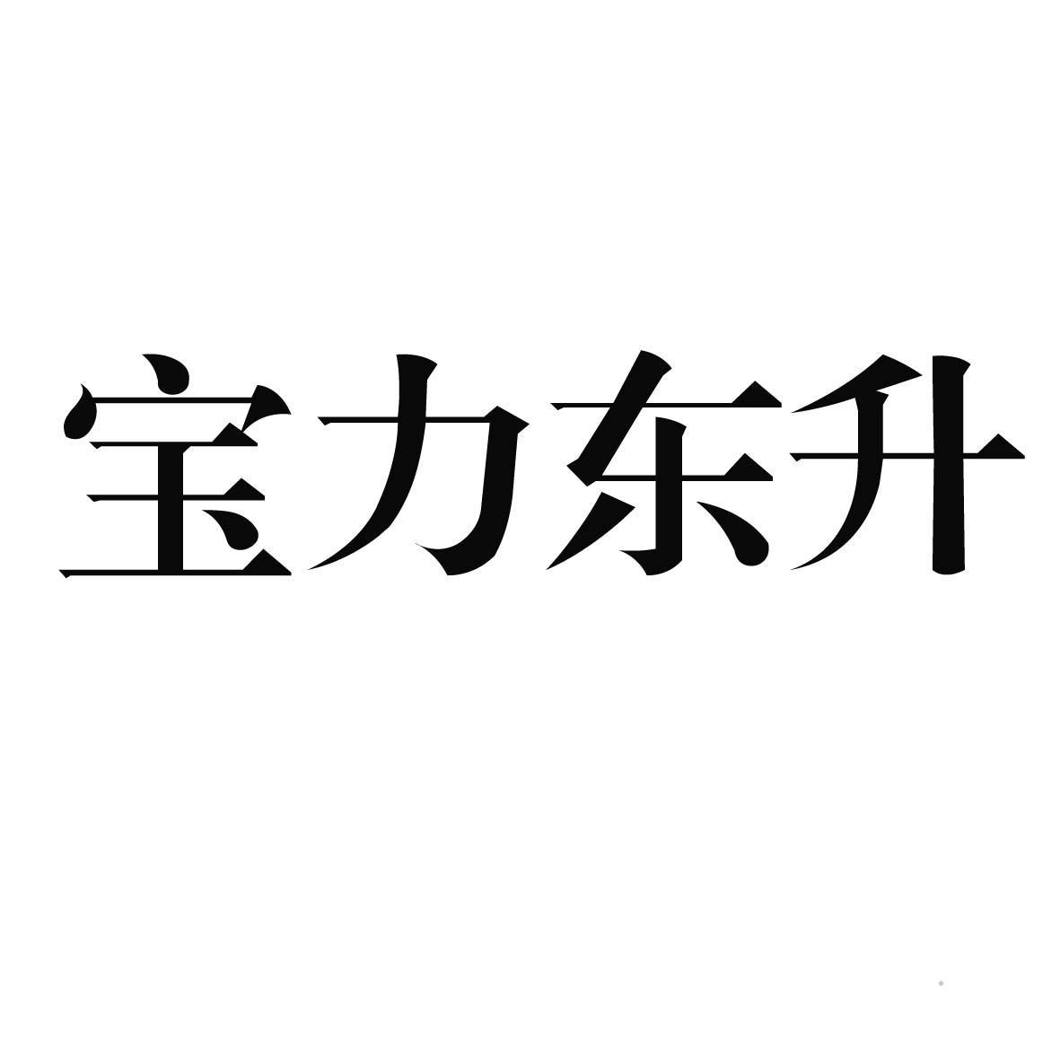 宝力东升logo