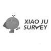 XIAO JU SURVEY网站服务