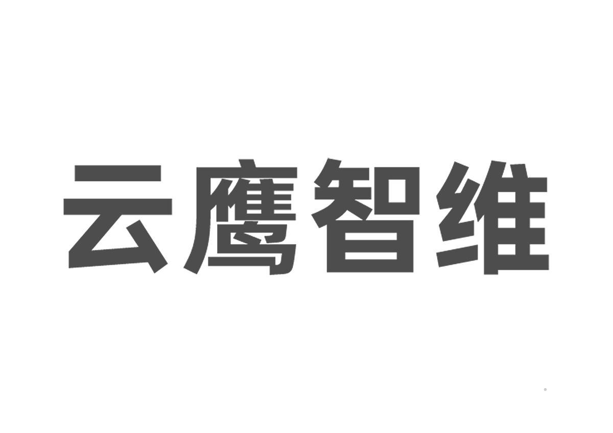 云鹰智维logo