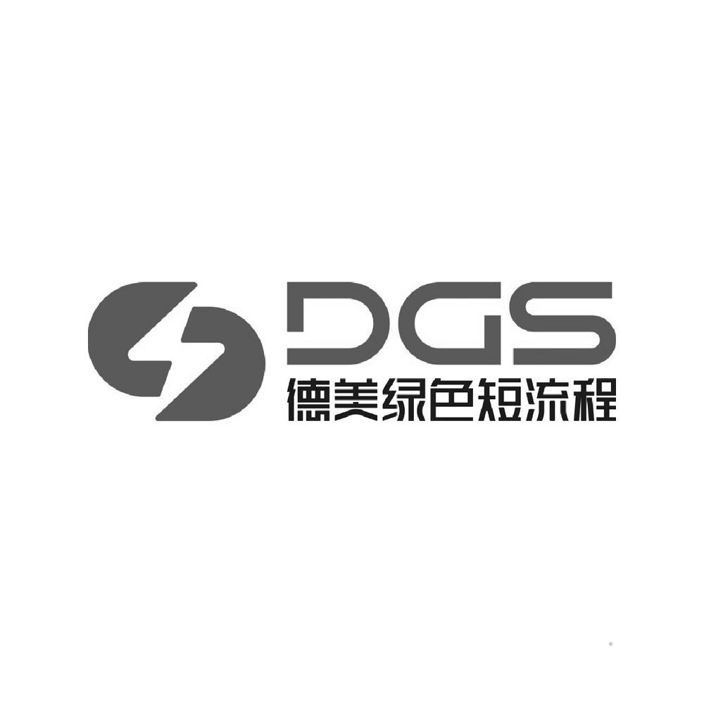 DGS 德美绿色短流程logo