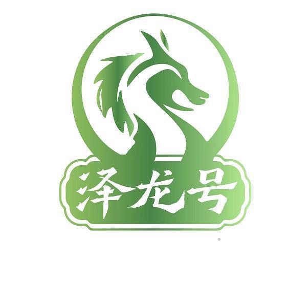 泽龙号logo