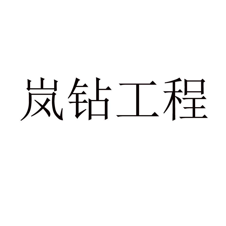 岚钻工程logo