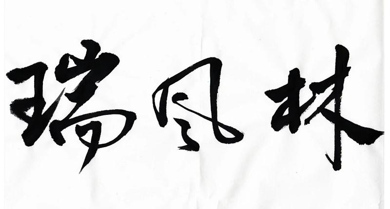 瑞风林logo