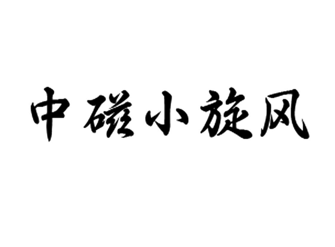 中磁小旋风logo