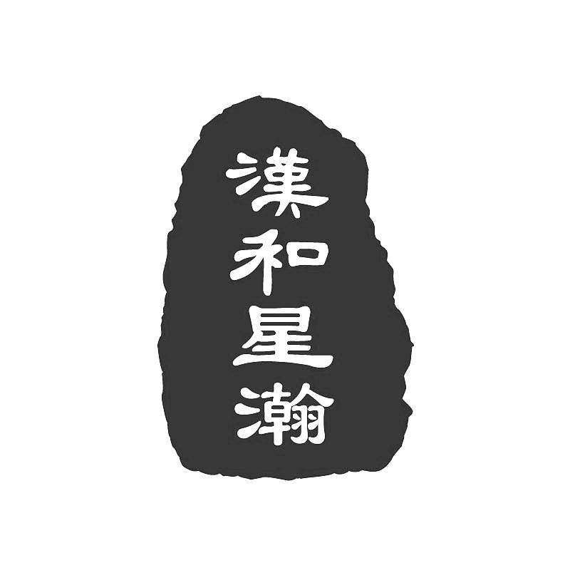 汉和星瀚logo
