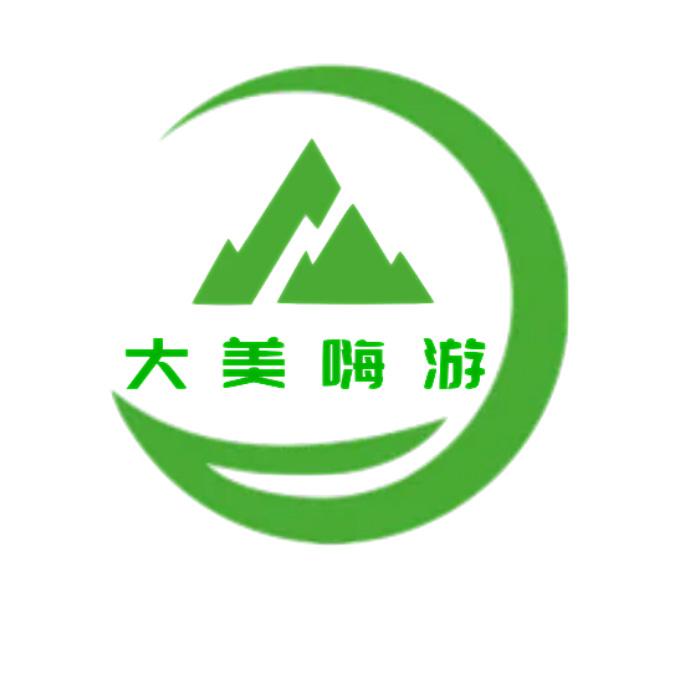 大美嗨游logo