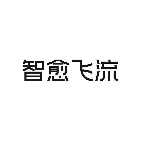 智愈飞流logo
