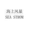 海上风暴 SEA STROM