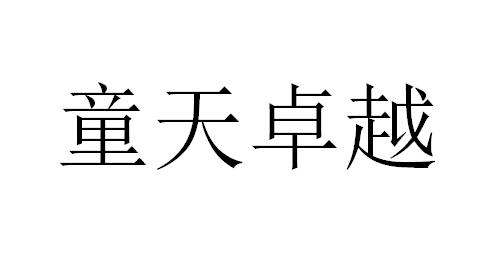 童天卓越logo