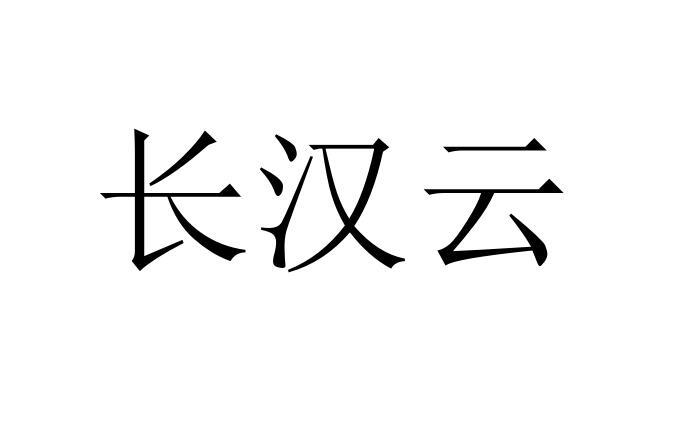 长汉云logo