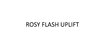 ROSY FLASH UPLIFT日化用品