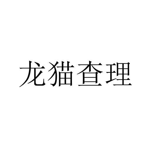 龙猫查理logo