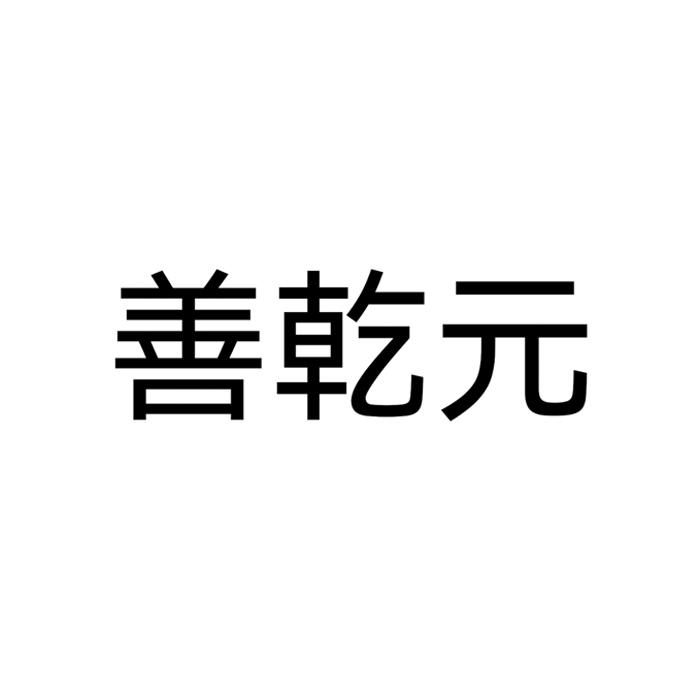 善乾元logo
