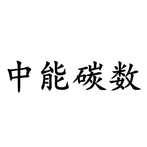 中能碳数logo