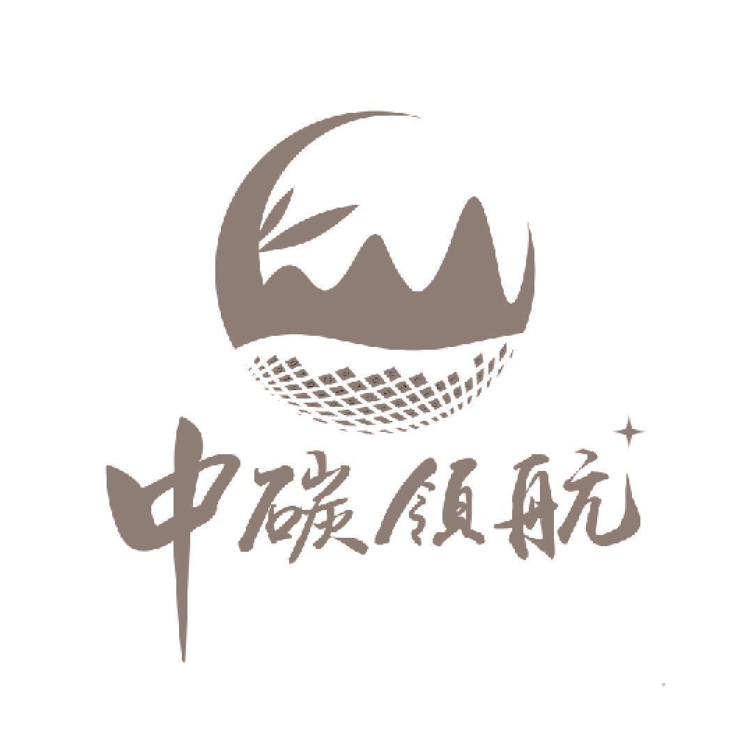 中碳领航logo